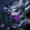 absolut kurant 2.jpg