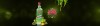 agwa 2.jpg