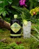 Hendricks-Amazonia-2.jpg