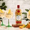 tanqueray sevilla 2.jpg