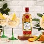 tanqueray sevilla 2.jpg
