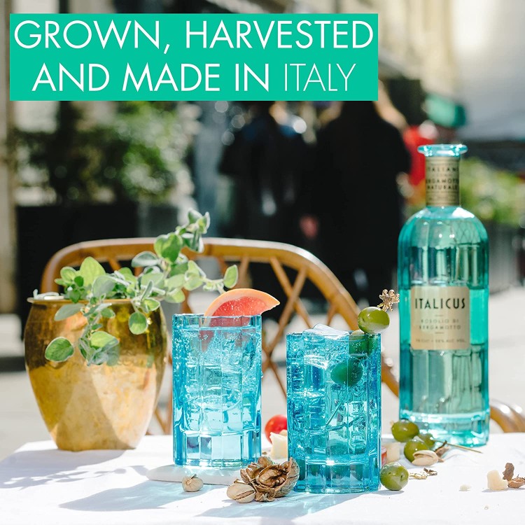 italicus 2.jpg