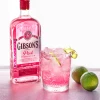 gibson pink gin 2.jpg