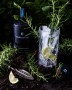 Bareksten Botanical Gin5.jpg
