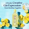 bombay citron 22.jpg