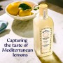 bombay citron 2.jpg