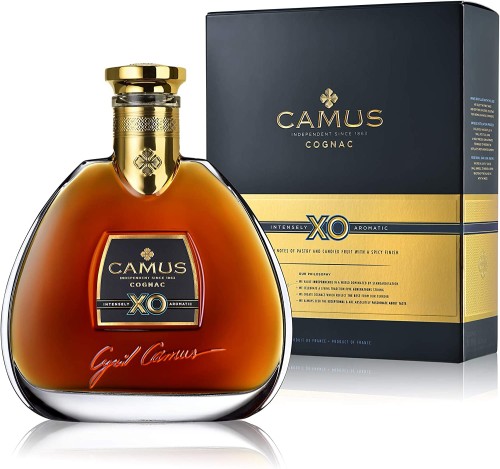 camus xo.jpg