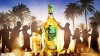 grants-tropical-fiest.jpg