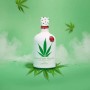 Gin-Cannabis-Sativa1.jpg