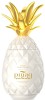 Pinaq-Pina-Colada.jpg