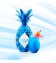 pinaq-blue (1).jpg