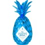 pinaq_blue.jpg