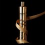 roberto_cavalli_vodka_gold1.png