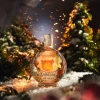 snowglobe_orange_gingerbread_2.webp