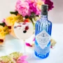 Gin 1.3.webp