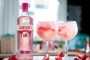 Gordon's Premium Pink Gin2.jpg