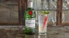 Tanqueray1.jpeg