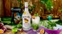 Malibu Passion Fruit1.png