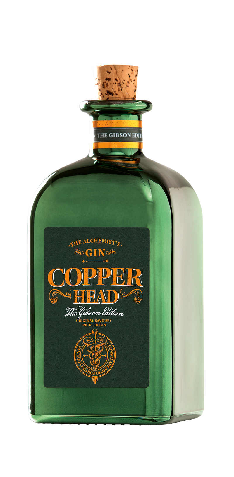 Gin 1.1.png